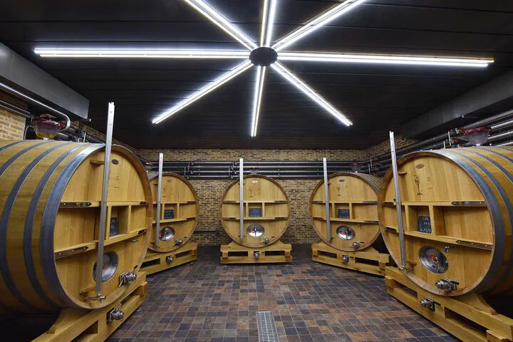 Private Champagne Tasting at Domaine Coutant