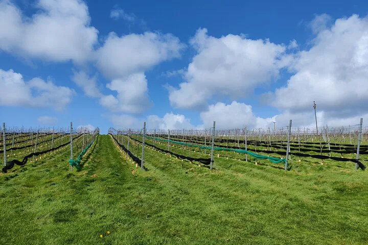 Savor North Devon: Cider & Wine Tour Through Lush Valleys