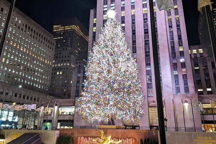 Dazzling Holiday Spectacle: NYC Lights Private Tour!