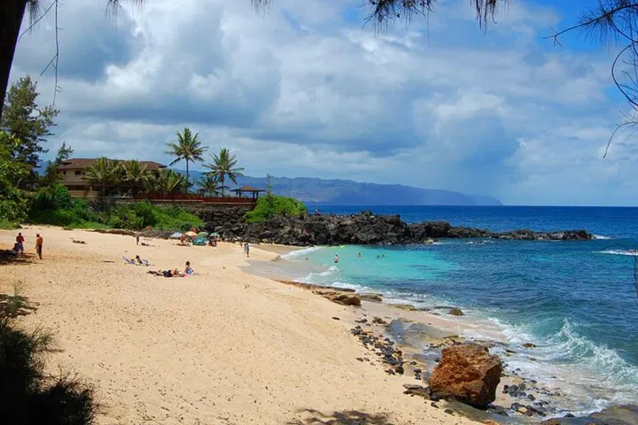Oahu's North Shore Private Tour: Turtles, Waterfall & Dole!