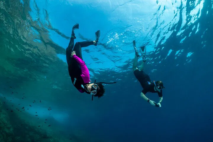 Dive into Wonder: Snorkeling Adventure in Portofino's Marine Paradise