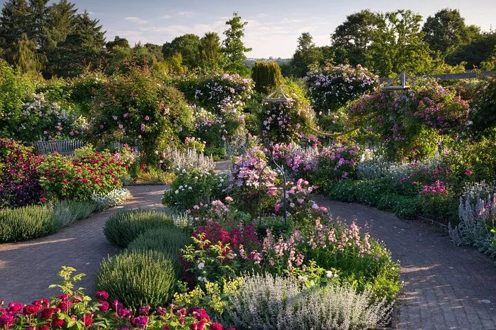 RHS Rosemoor: A Devonshire Garden Paradise Awaits!