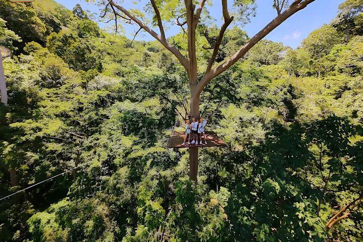 Thrill-Seeker's Dream: Conquer Phuket's Longest Seaview Zipline!