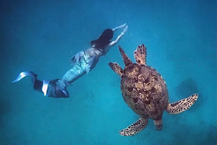 Waikiki Sunrise Snorkel on 'Moana' Catamaran