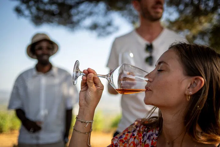 Sip & Savor: Unforgettable Private Provence Wine Tour from Antibes