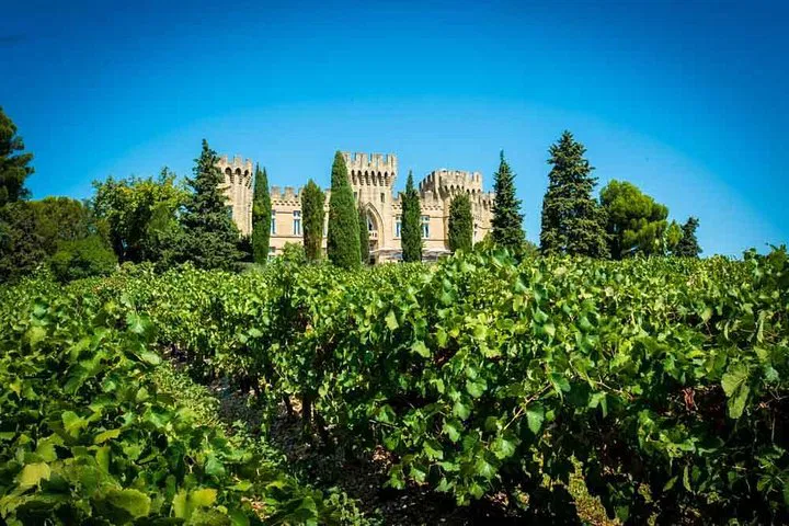 Châteauneuf-du-Pape: Wine Tour with Sommelier