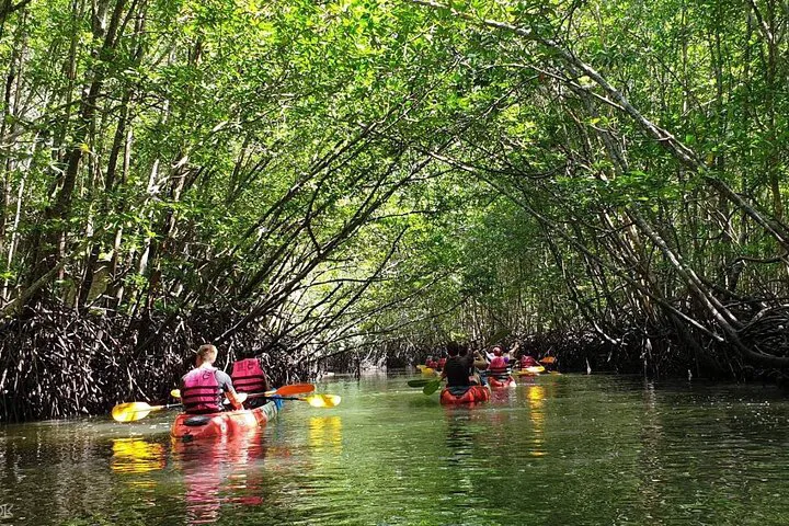Ko Lanta Kayak Adventure: Explore Mangrove Wonders & Local Life