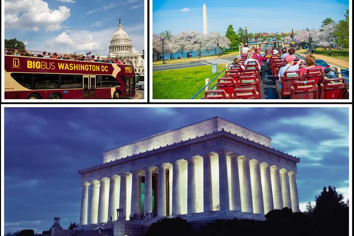 DC Big Bus Tour: Hop-On Hop-Off & Night Tour Bundle!