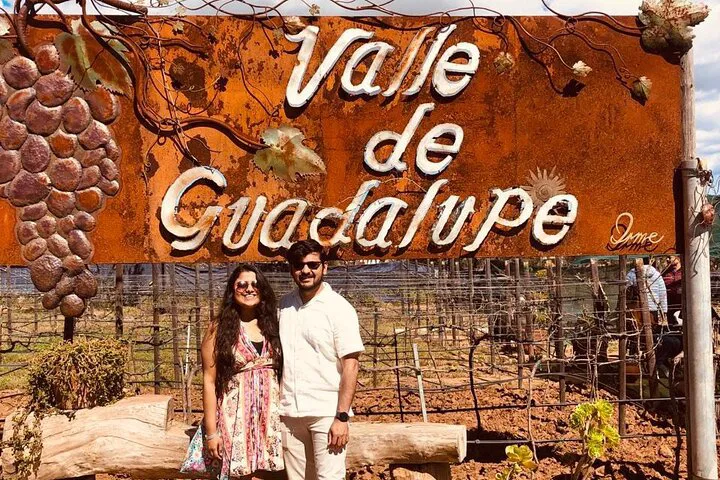 Wine, Cheese & Massage Tour: Ruta del Vino Escape