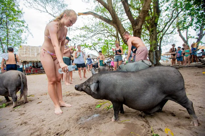 Pig Island & Snorkeling Tour by Private Boat