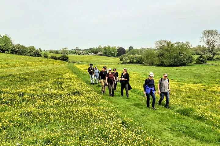 Cotswolds Day Trip: Walking Tour from Stratford & Moreton