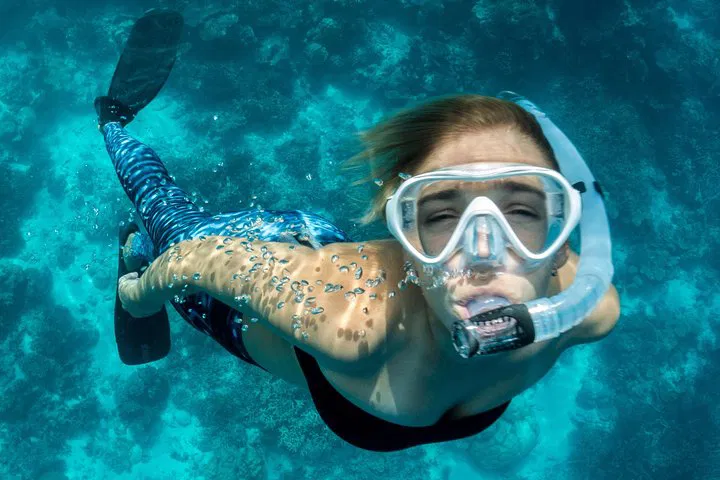 La Jolla Snorkeling Adventure: Swim with Sea Lions!