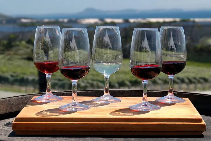 Sip & Savor: Unveiling Niagara's Wine Trail Treasures