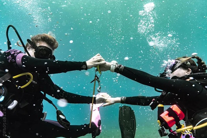 Waikiki Private SCUBA Adventure: Dive into Oahu's Underwater Paradise