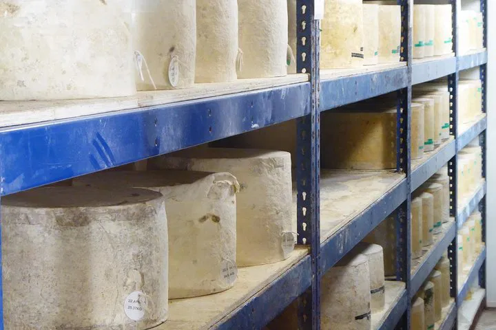 Uncover Bath's Gems: A Cheddar Gorge & Wells Private Day Trip