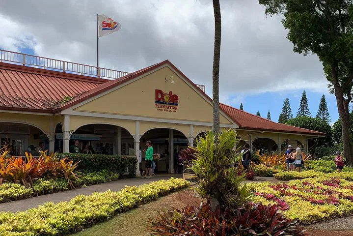 Oahu's History Unveiled: Pearl Harbor, Dole & Island Wonders Tour