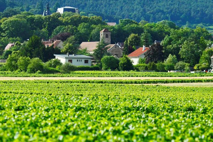 Unveiling Burgundy: A Luxurious 2-Day Private Wine Tour from Paris