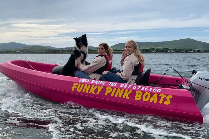 Dingle: Captain Your Own Funky Pink Boat!