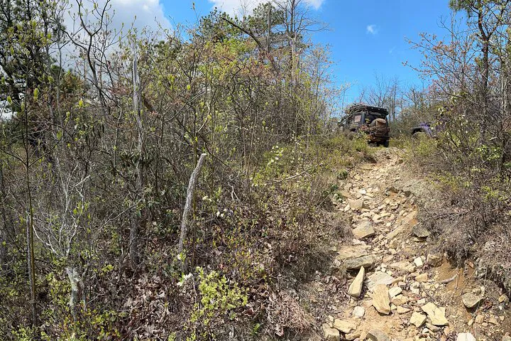 Conquer Bald Mountain: Boar's Head Resort Off-Road Jeep Adventure