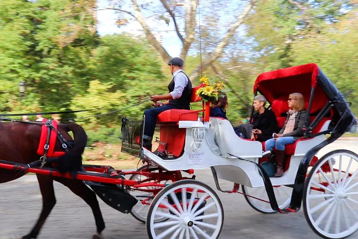 Enchanting Central Park: Horse Carriage Ride Through History