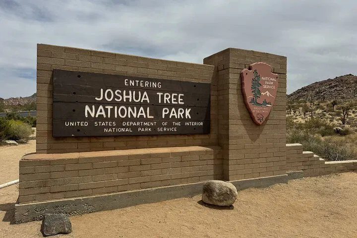Joshua Tree Private Day Tour: LA/SD Pickup
