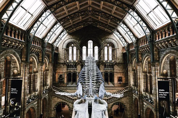 Unearth History: A Semi-Private Natural History Museum Adventure!