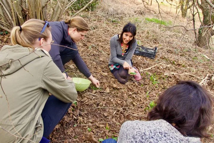 Savor Authentic Italy: Cooking Class on a Sustainable Farm