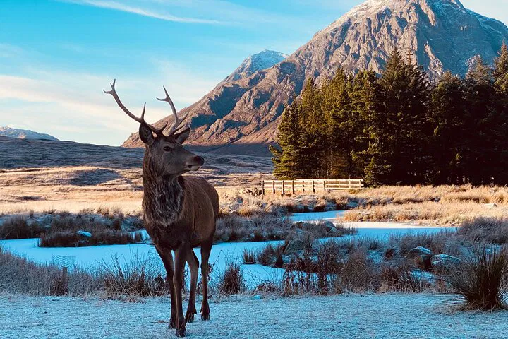 Unveil Scotland's Majesty: A Private Highland & Loch Ness Adventure