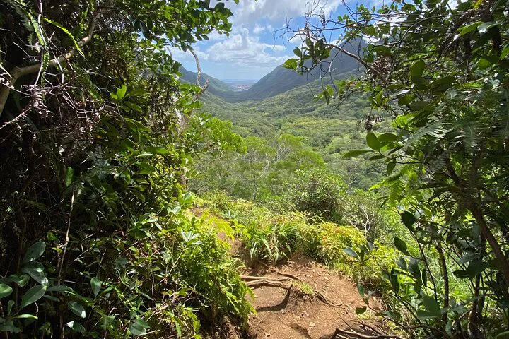 Maui Day Hike: Secret Spots & Epic Views!