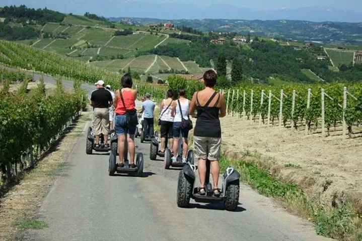 Glide Through Vineyards: Segway Wine Tour in Alba's Hills
