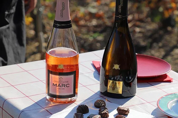 Champagne Sensory Journey: Reims Vineyard Delights