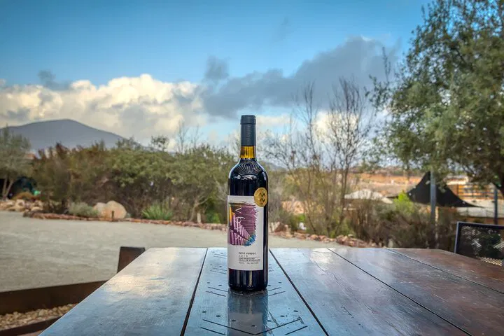 Maglén's Exclusive Wine Tasting: A Sensory Journey in Valle de Guadalupe