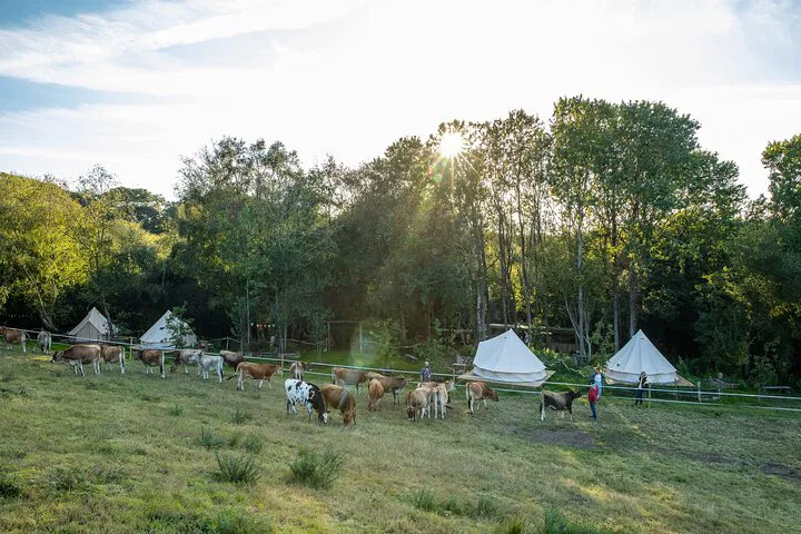 Cornwall Adventure: Surf, Coasteer & Glamp!