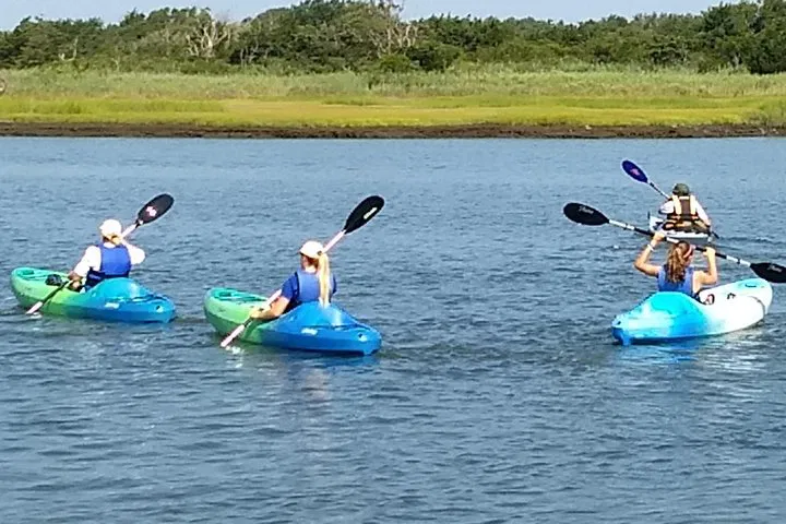 Glide Through Cape May's Serene Creek: A Kayaking Adventure