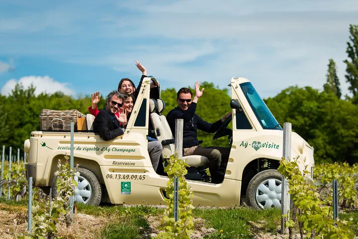 Aÿ Champagne Vineyard Tour: Unforgettable Tasting Experience