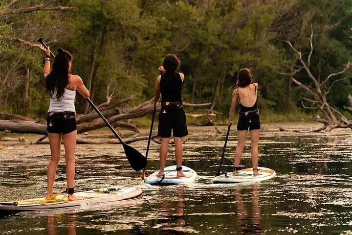 Paddleboard Eco-Tour: Toronto Islands Nature Escape