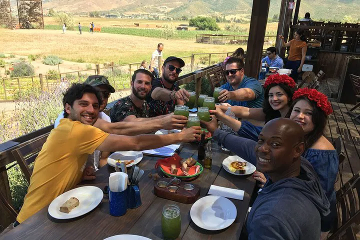 Guadalupe Valley Wine Tour from San Diego | Private & Luxury
