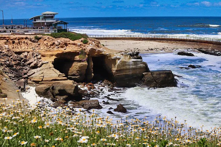 La Jolla & Pacific Beach E-Bike Coastal Tour