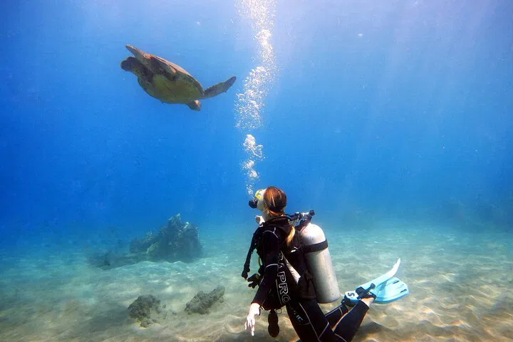 Maui Scuba Diving: No Experience Needed! Turtle Reef Dive