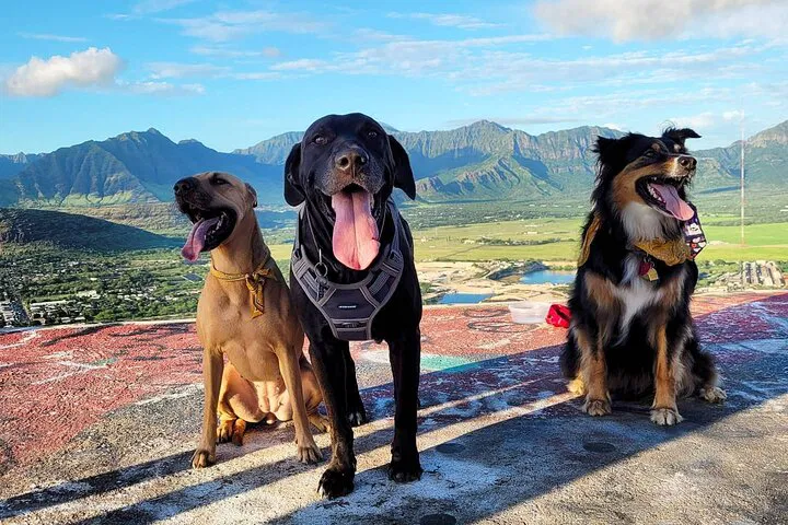 Unveiling West Oahu's Hidden Gems: A Private Adventure