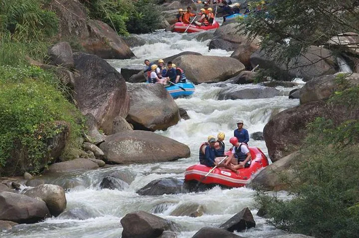 Phuket Jungle Adventure: Rafting, ATV, Fly Fox & Monkey Cave