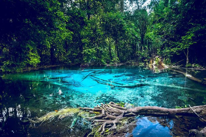 Krabi's Trio of Wonders: Emerald Pool, Hot Springs & Tiger Temple Adventure