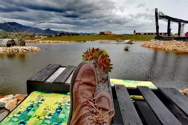 Unforgettable Wine Country Escape: Personalized Tour in Valle de Guadalupe