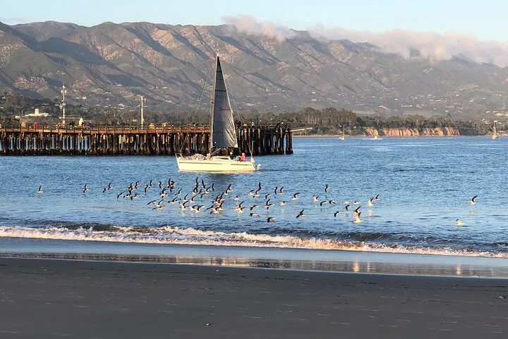 Discover Santa Barbara: A Local's Immersive Nature & History Tour