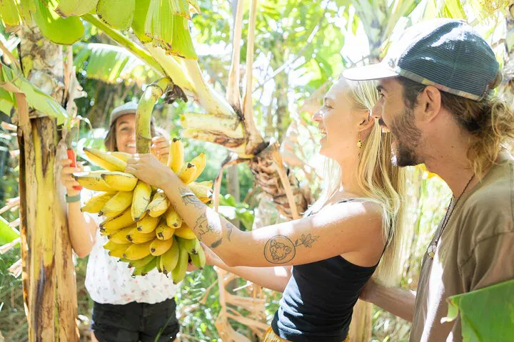 Maui Farm Tour: Taste Hawaii's Bounty at La Kahea