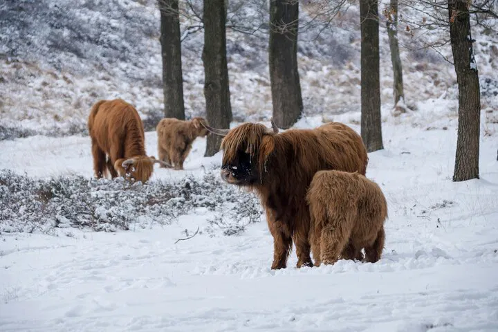 Skye, Loch Ness & Highlands 3-Day Tour