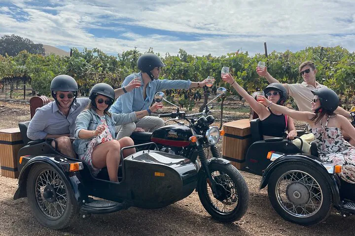 Paso Robles Sidecar Wine Tour: Vineyard Adventure