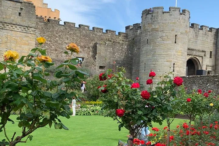 Unlock Scotland's Secrets: A Personalized Stirling Castle & Whiskey Tour!