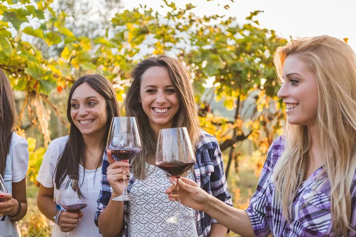 Piedmont Wine Journey: An Immersive Sensory Adventure