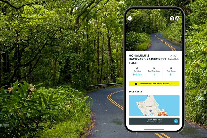Explore Honolulu's Hidden Rainforest: An Unforgettable Driving Tour